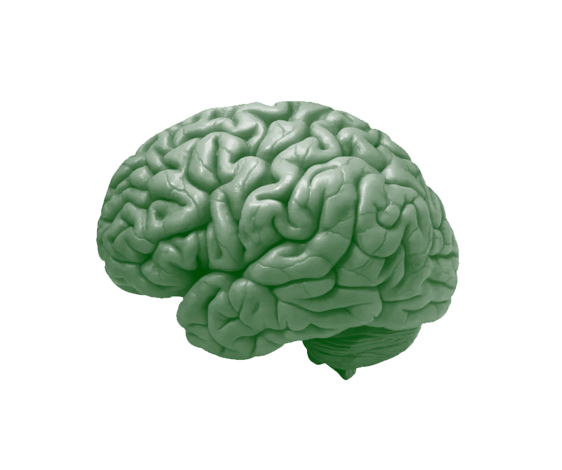 general intelligence